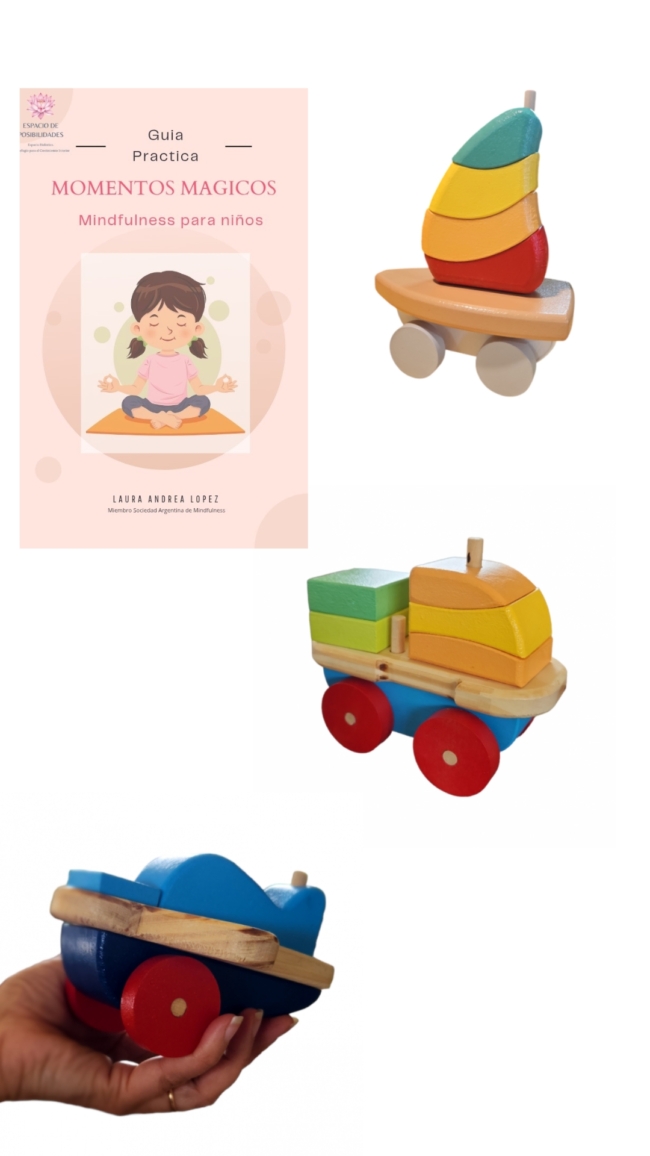COMBO TRANSPORTIN